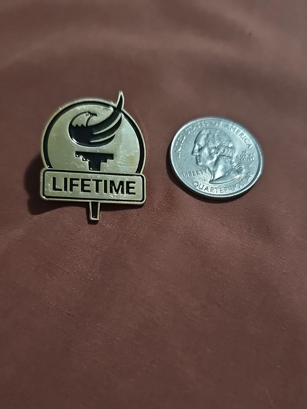 Libertarian Party Lifetime Member Pin